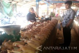Harga Daging Sapi di Sumenep Turun