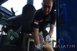 BB Narkoba BNNP Hasil Pengungkapan Tiga Bulan Dimusnahkan (Video)