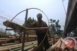 Penjualan Pohon Pinang Sepi Jelang HUT RI