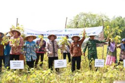 Pemkab Lamongan-Bank Indonesia Panen Kedelai Varietas Unggul