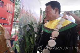 Indonesia Kekurangan Penyuluh Pertanian PNS