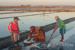 Harga Garam Rakyat di Sumenep "Terjun Bebas"