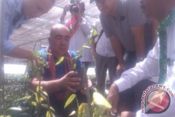 Pemprov Kepulauan Babel-Uzbekistan Sepakat Kembangkan Lada Putih