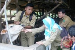 Dinas Pertanian Pantau Kesehatan Hewan Kurban