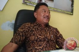 Program Upsus Capai 87,5 Persen