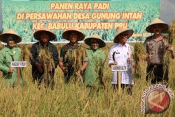 Pangdam Siap Mundur Jika Swasembada Pangan Gagal