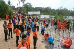 BPBD Pangkalpinang Menanam 2.000 Pohon Mangrove