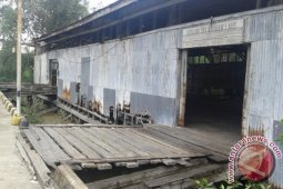 Pancang kayu bulian saksi kejayaan Pelabuhan Kualatungkal  (Video)