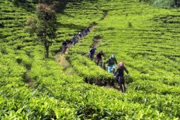 Bersepeda MTB di Puncak