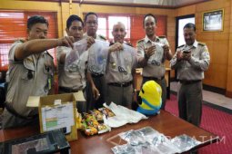 BBKP Surabaya Amankan 11  Ekor Ular Berbisa (Video)