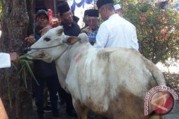 Ikanas   Serahkan 15 Ekor hewan   Qur'ban