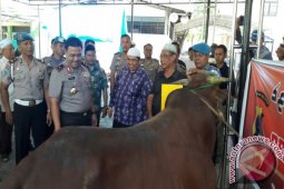 Polda Kalsel Tebar 40 Hewan Qurban