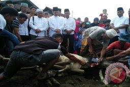 Bupati Memaknai Qurban Untuk Mempersatukan Ummat