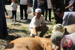 Ibadah Kurban Teladan Keimanan Hanif Nabi Ibrahim