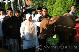 Risma : Jadikan Idul Adha Momentum Saling Berbagi Sesama