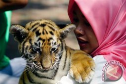 Kebun Binatang Bandung Prediksi Kunjungan Capai 10.000