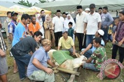 Walikota Sholai Idul Adha Bersama Ribuan Warga