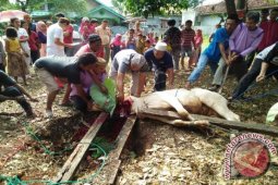 Bupati Malang: Teladani Nilai-nilai Kemanusiaan Nabi Ibrahim yang Luar Biasa