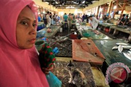 Cuaca membuat harga ikan segar melonjak di Lhokseumawe