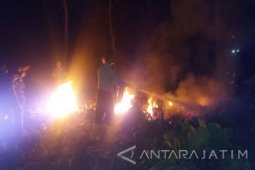 Hutan Jati di Gunung Manggar Jember yang Terbakar Dapat Dipadamkan