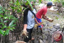 LSM Sampan Kalbar Dampingi Masyarakat Budidaya Kepiting