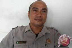 BPBA: Aceh Barat beresiko tinggi bencana laut