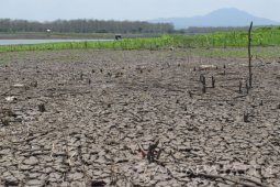 Petani Manfaatkan Waduk Mengering