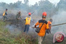 Lahan Seluas 4,5 Hektare Di Kotabaru Terbakar