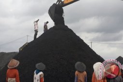 Ancaman Maut Di Gunungan "Emas Hitam"