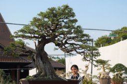 PPBI Ponorogo Tumbuhkan Ekonomi Kreatif Lewat Pameran Bonsai