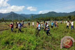 Perburuan Hama Tikus Secara Massal
