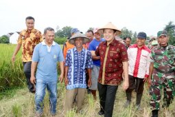 Lampung Menyalurkan Kredit Usaha Rakyat Mikro Kedelai