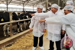 Kemitraan industri olahan susu pacu suplai bahan baku