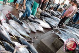 Konsumsi ikan nasional capai 43 persen
