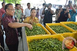 Manajemen Holding Perkebunan Nusantara Angkat Komisaris