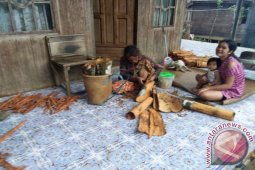 Warga Loksado Nikmati Membaiknya Harga Kayu Manis