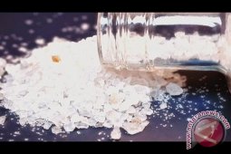 Narkoba Jenis Flakka Belum Masuk ke Sibolga