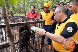 Police catch a protected animal body parts merchant