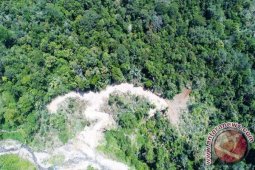 Lahan PLTA Batangtoru: Sudah Dibayar