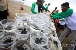 Perbaikan Infrastruktur Menuju Pantai Selatan Blitar Terus Diperbaiki