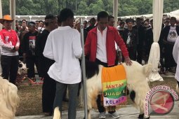 Presiden Pamerkan Hasil Ternak