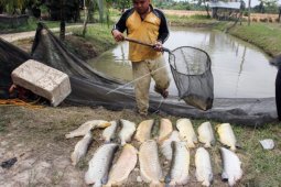 Singkawang dorong faskes urus perizinan pengolahan limbah