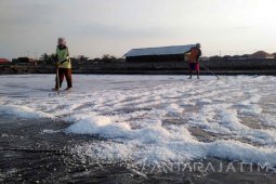 Produksi Garam di Kabupaten Probolinggo Ditargetkan 20.000 Ton