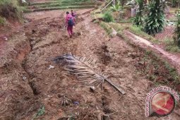 Pergerakan Tanah di Takokak Cianjur Terus Meluas