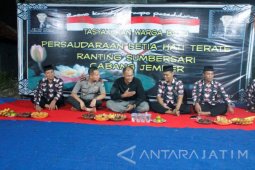 Tujuh Anggota PSHT Pelaku Penganiayaan dan Perusakan Diamankan Polisi Jember
