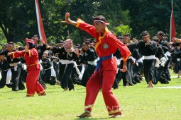 Kampung Pesilat Bojonegoro
