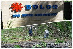 Pembayaran Gula Petani Bondowoso-Situbondo Menunggu Sertifikat SNI