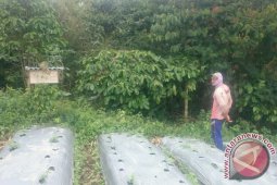 Warga Sumber Urip Kembangkan Usaha Peternakan Lebah