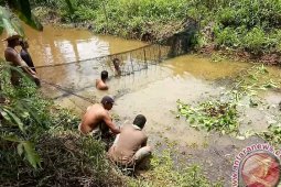 Produksi ikan HSU capai 21 ribu ton