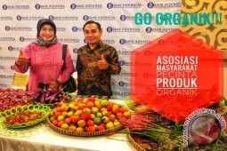 Gorontalo Daerah Potensial Untuk Pertanian Organik